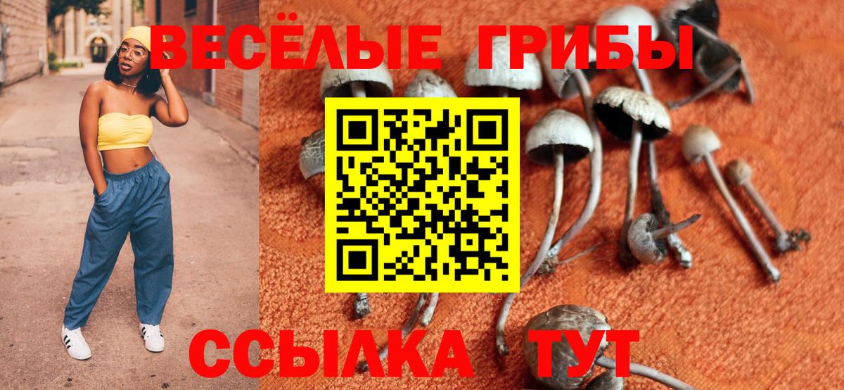 Галлюциногенные грибы Cubensis Кстово