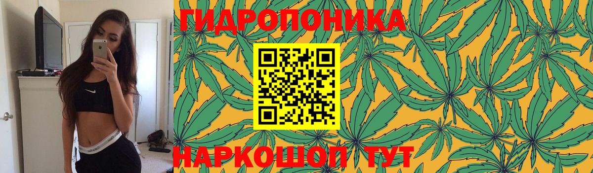 Марихуана MAZAR  Вход с VPN  Марихуана марихуана  Кстово  Бошки Шишки семена 